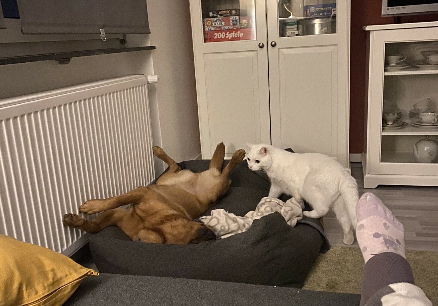 Rosie_5